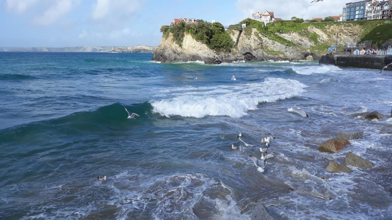 Blue Room Hostel Newquay New Quay Esterno foto