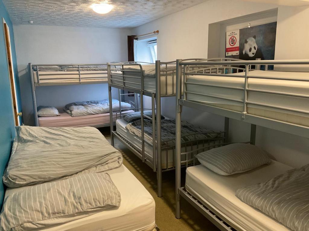 Blue Room Hostel Newquay New Quay Esterno foto